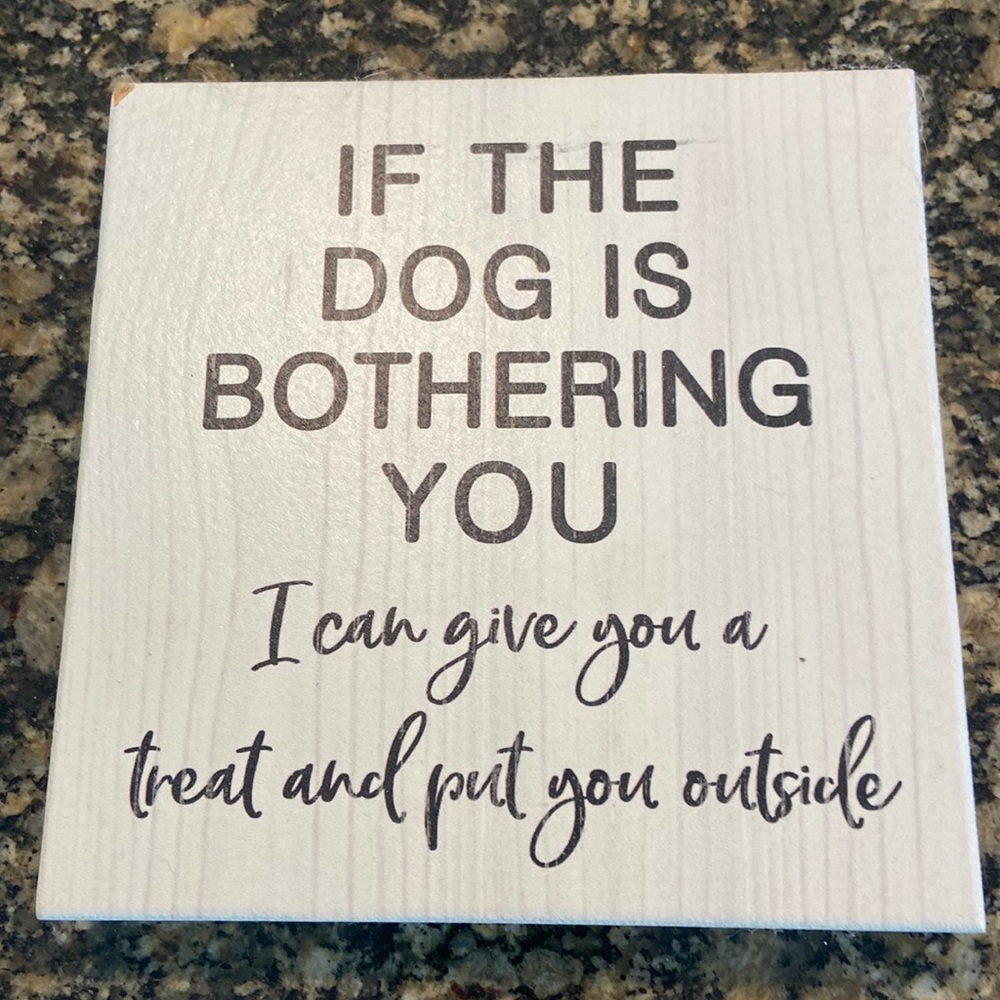 If the dog is bothering you, I can give you a treat and put you outside